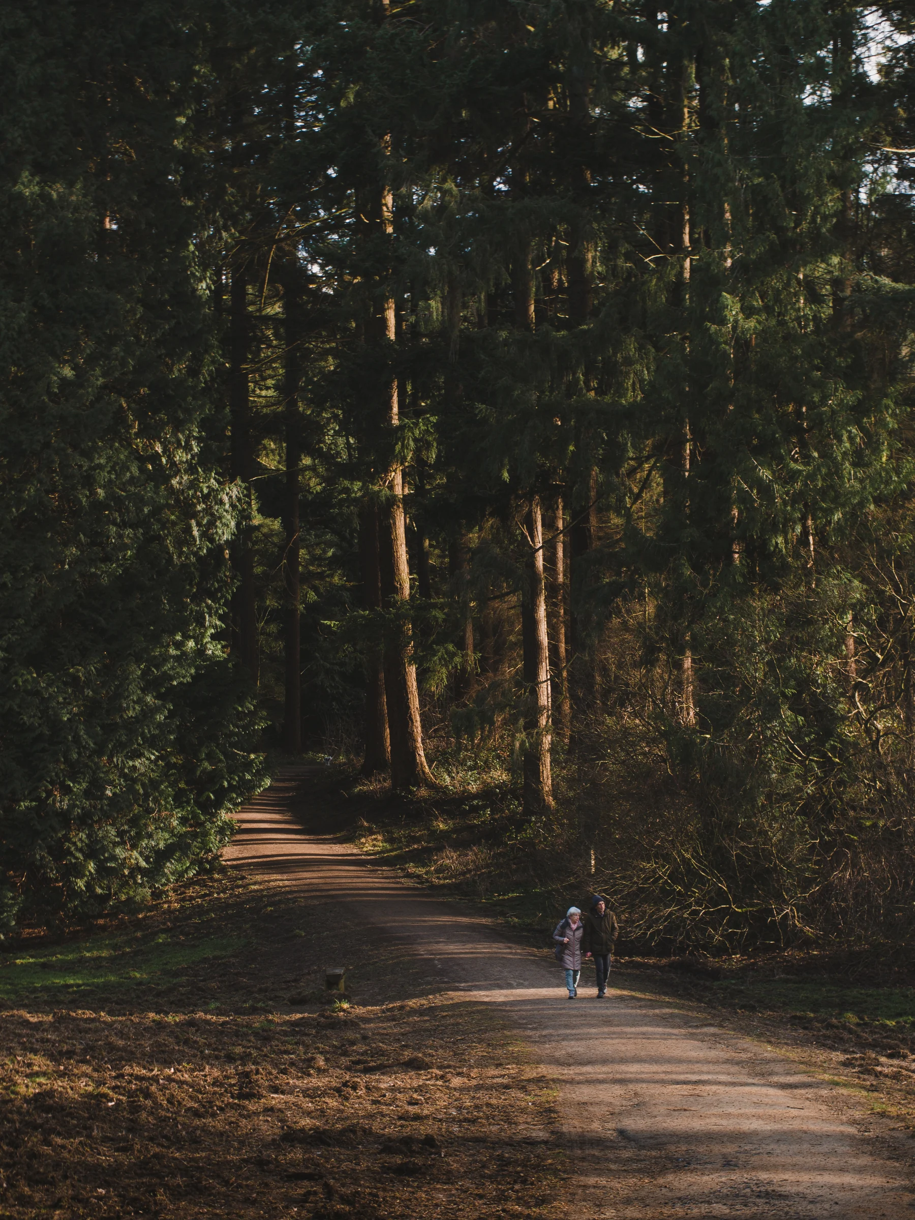 Street and nature photography in Brussels, urban landscape and everyday life